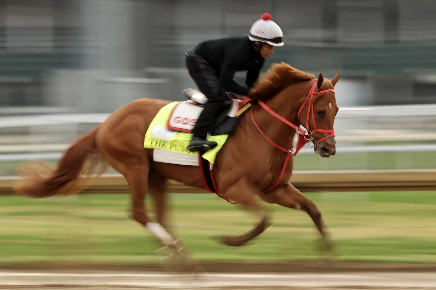 Kentucky Derby 2026: Post Time, Horses, Odds & Complete Guide